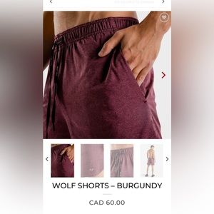 Men’s premium Squatwolf shorts